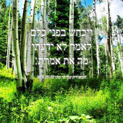 Picture 04 - הבשורה על־פי מתי 26:70 HEB - ויכחש בפני כלם לאמר לא - Bible Verse Picture