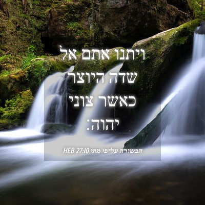 Picture 04 - הבשורה על־פי מתי 27:10 HEB - ויתנו אתם אל שדה היוצר כאשר - Bible Verse Picture