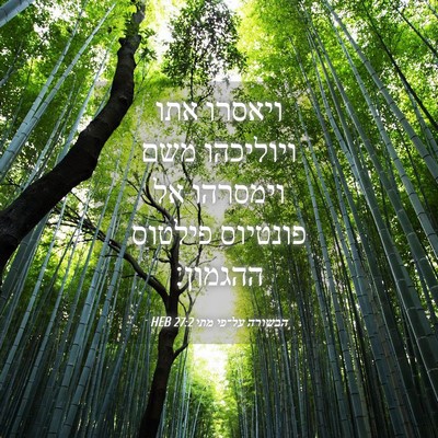 Picture 04 - הבשורה על־פי מתי 27:2 HEB - ויאסרו אתו ויוליכהו משם - Bible Verse Picture