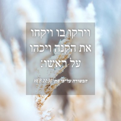 Picture 04 - הבשורה על־פי מתי 27:30 HEB - וירקו בו ויקחו את הקנה - Bible Verse Picture