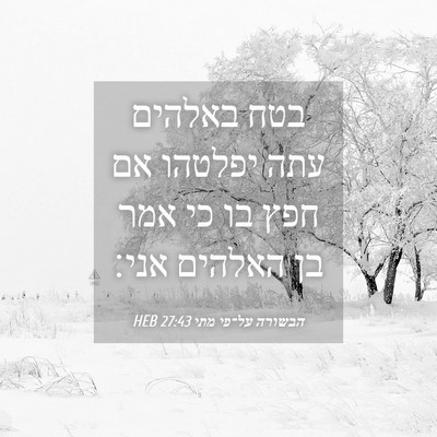 Picture 04 - הבשורה על־פי מתי 27:43 HEB - בטח באלהים עתה יפלטהו אם - Bible Verse Picture