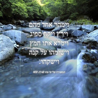 Picture 04 - הבשורה על־פי מתי 27:48 HEB - וימהר אחד מהם וירץ ויקח - Bible Verse Picture