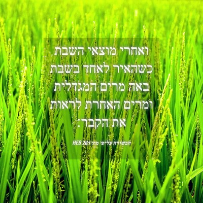 Picture 04 - הבשורה על־פי מתי 28:1 HEB - ואחרי מוצאי השבת כשהאיר - Bible Verse Picture