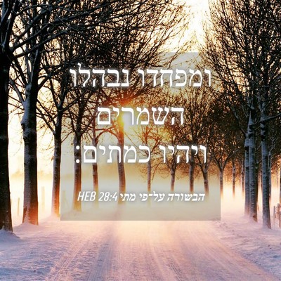 Picture 04 - הבשורה על־פי מתי 28:4 HEB - ומפחדו נבהלו השמרים ויהיו - Bible Verse Picture
