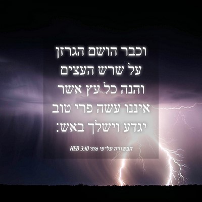 Picture 04 - הבשורה על־פי מתי 3:10 HEB - וכבר הושם הגרזן על שרש - Bible Verse Picture