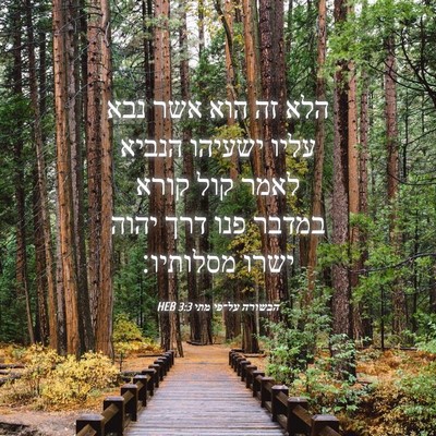 Picture 04 - הבשורה על־פי מתי 3:3 HEB - הלא זה הוא אשר נבא עליו - Bible Verse Picture