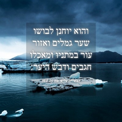 Picture 04 - הבשורה על־פי מתי 3:4 HEB - והוא יוחנן לבושו שער גמלים - Bible Verse Picture