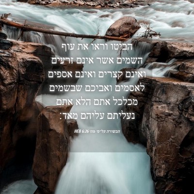 Picture 04 - הבשורה על־פי מתי 6:26 HEB - הביטו וראו את עוף השמים אשר - Bible Verse Picture