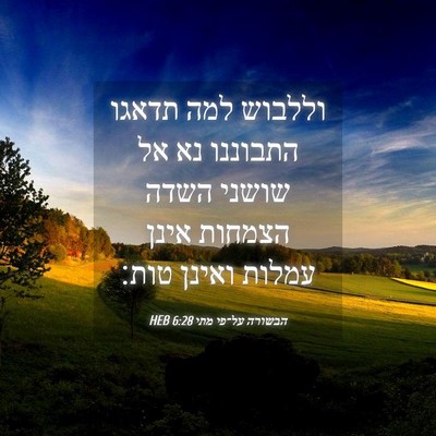 Picture 04 - הבשורה על־פי מתי 6:28 HEB - וללבוש למה תדאגו התבוננו - Bible Verse Picture