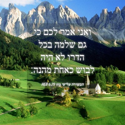 Picture 04 - הבשורה על־פי מתי 6:29 HEB - ואני אמר לכם כי גם שלמה בכל - Bible Verse Picture