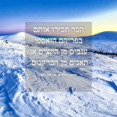 Picture 04 - הבשורה על־פי מתי 7:16 HEB - הכר תכירו אותם בפריהם - Bible Verse Picture