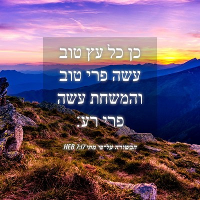 Picture 04 - הבשורה על־פי מתי 7:17 HEB - כן כל עץ טוב עשה פרי טוב - Bible Verse Picture