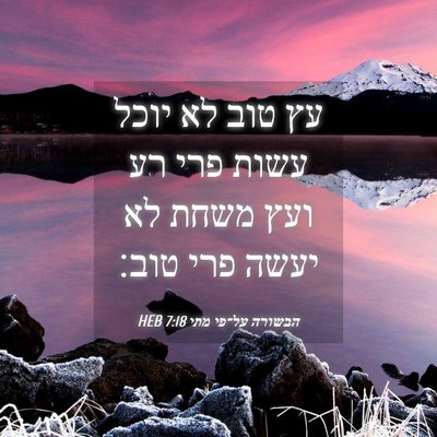 Picture 04 - הבשורה על־פי מתי 7:18 HEB - עץ טוב לא יוכל עשות פרי רע - Bible Verse Picture