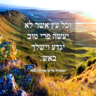 Picture 04 - הבשורה על־פי מתי 7:19 HEB - וכל עץ אשר לא יעשה פרי טוב - Bible Verse Picture
