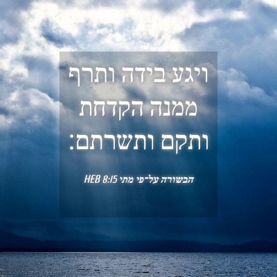 Picture 04 - הבשורה על־פי מתי 8:15 HEB - ויגע בידה ותרף ממנה הקדחת - Bible Verse Picture
