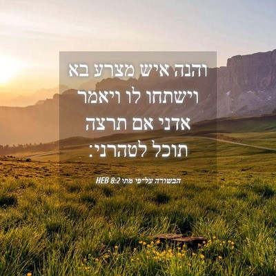Picture 04 - הבשורה על־פי מתי 8:2 HEB - והנה איש מצרע בא וישתחו לו - Bible Verse Picture