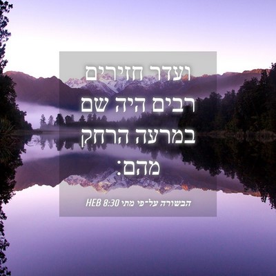 Picture 04 - הבשורה על־פי מתי 8:30 HEB - ועדר חזירים רבים היה שם - Bible Verse Picture