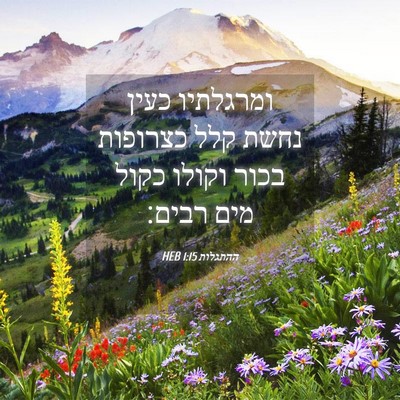 Picture 04 - ההתגלות 1:15 HEB - ומרגלתיו כעין נחשת קלל - Bible Verse Picture