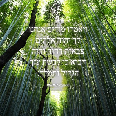 Picture 04 - ההתגלות 11:17 HEB - ויאמרו מודים אנחנו לך יהוה - Bible Verse Picture