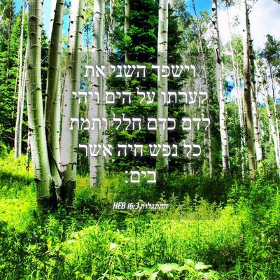 Picture 04 - ההתגלות 16:3 HEB - וישפך השני את קערתו על הים - Bible Verse Picture