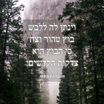 Picture 04 - ההתגלות 19:8 HEB - וינתן לה ללבש בוץ טהור וצח - Bible Verse Picture