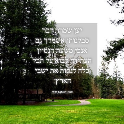 Picture 04 - ההתגלות 3:10 HEB - יען שמרת דבר סבלנותי אשמרך - Bible Verse Picture