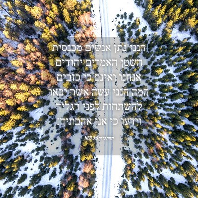 Picture 04 - ההתגלות 3:9 HEB - הנני נתן אנשים מכנסית השטן - Bible Verse Picture