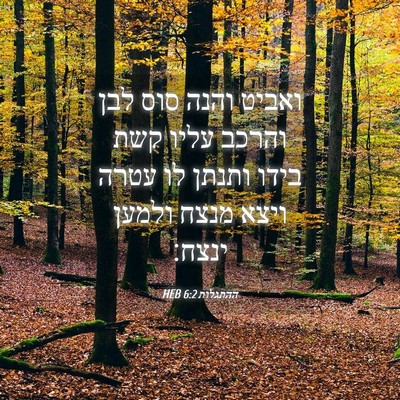 Picture 04 - ההתגלות 6:2 HEB - ואביט והנה סוס לבן והרכב - Bible Verse Picture
