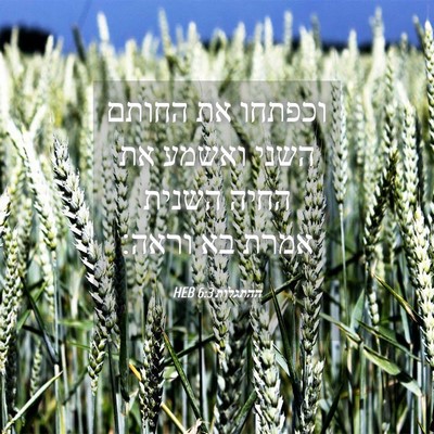 Picture 04 - ההתגלות 6:3 HEB - וכפתחו את החותם השני ואשמע - Bible Verse Picture