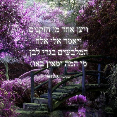 Picture 04 - ההתגלות 7:13 HEB - ויען אחד מן הזקנים ויאמר - Bible Verse Picture