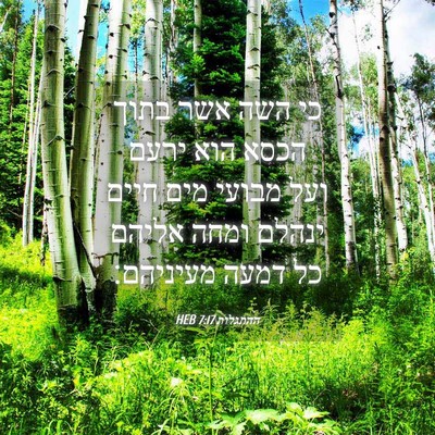 Picture 04 - ההתגלות 7:17 HEB - כי השה אשר בתוך הכסא הוא - Bible Verse Picture