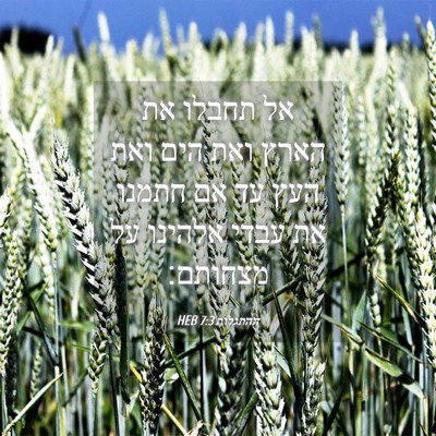 Picture 04 - ההתגלות 7:3 HEB - אל תחבלו את הארץ ואת הים - Bible Verse Picture