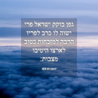 Picture 04 - הושע 10:1 HEB - גפן בוקק ישראל פרי ישוה לו - Bible Verse Picture