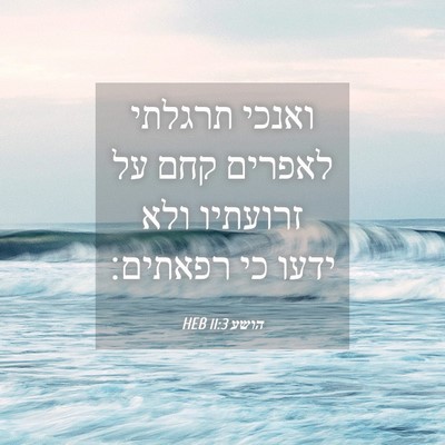 Picture 04 - הושע 11:3 HEB - ואנכי תרגלתי לאפרים קחם על - Bible Verse Picture