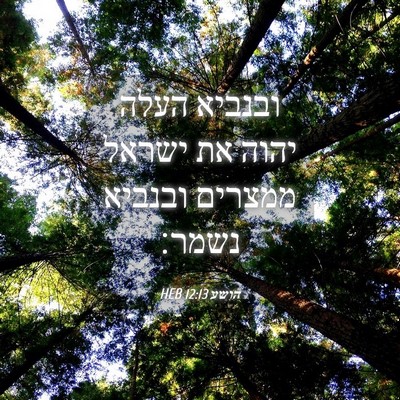 Picture 04 - הושע 12:13 HEB - ובנביא העלה יהוה את ישראל - Bible Verse Picture