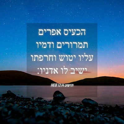Picture 04 - הושע 12:14 HEB - הכעיס אפרים תמרורים ודמיו - Bible Verse Picture