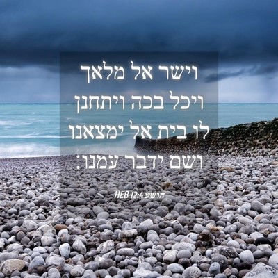 Picture 04 - הושע 12:4 HEB - וישר אל מלאך ויכל בכה - Bible Verse Picture