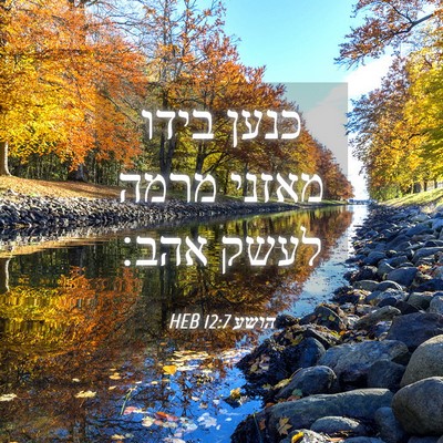 Picture 04 - הושע 12:7 HEB - כנען בידו מאזני מרמה לעשק - Bible Verse Picture