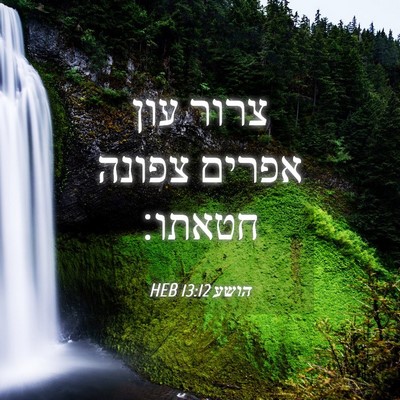 Picture 04 - הושע 13:12 HEB - צרור עון אפרים צפונה - Bible Verse Picture