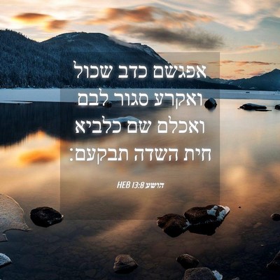 Picture 04 - הושע 13:8 HEB - אפגשם כדב שכול ואקרע סגור - Bible Verse Picture