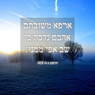 Picture 04 - הושע 14:4 HEB - ארפא משובתם אהבם נדבה כי שב - Bible Verse Picture