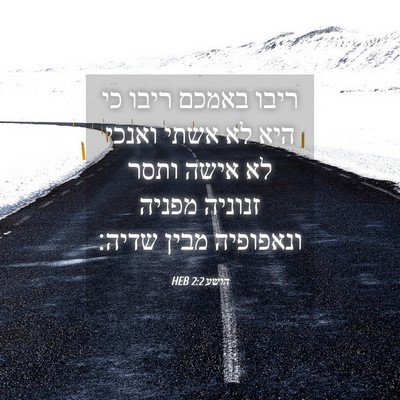 Picture 04 - הושע 2:2 HEB - ריבו באמכם ריבו כי היא לא - Bible Verse Picture