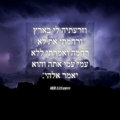 Picture 04 - הושע 2:23 HEB - וזרעתיה לי בארץ ורחמתי את - Bible Verse Picture