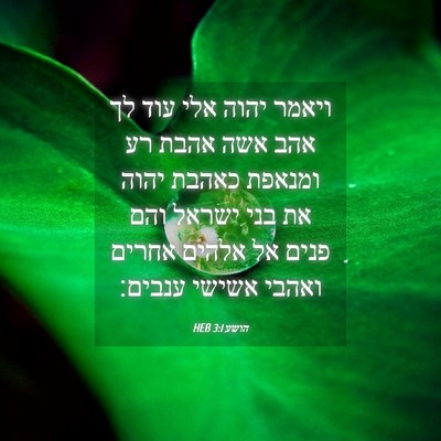 Picture 04 - הושע 3:1 HEB - ויאמר יהוה אלי עוד לך אהב - Bible Verse Picture