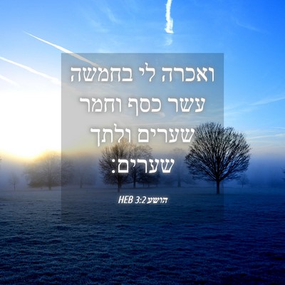 Picture 04 - הושע 3:2 HEB - ואכרה לי בחמשה עשר כסף וחמר - Bible Verse Picture