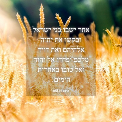 Picture 04 - הושע 3:5 HEB - אחר ישבו בני ישראל ובקשו את - Bible Verse Picture