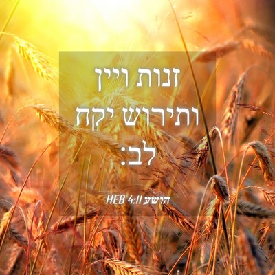 Picture 04 - הושע 4:11 HEB - זנות ויין ותירוש יקח - Bible Verse Picture