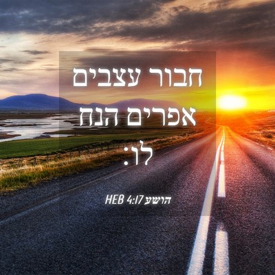 Picture 04 - הושע 4:17 HEB - חבור עצבים אפרים הנח - Bible Verse Picture