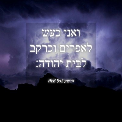 Picture 04 - הושע 5:12 HEB - ואני כעש לאפרים וכרקב לבית - Bible Verse Picture