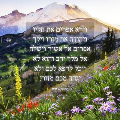 Picture 04 - הושע 5:13 HEB - וירא אפרים את חליו ויהודה - Bible Verse Picture